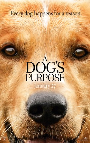 A Dogs Purpose