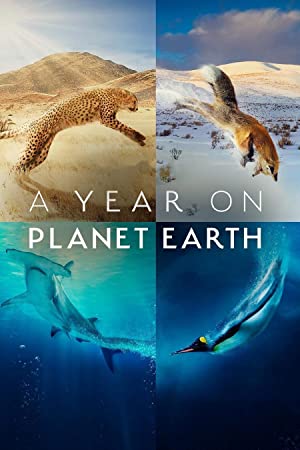 A Year on Planet Earth